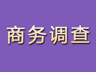 宿州商务调查